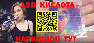 дмт Сланцы