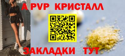 спиды Славгород