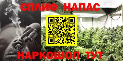дмт Сланцы