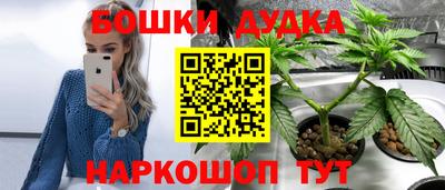 дмт Сланцы