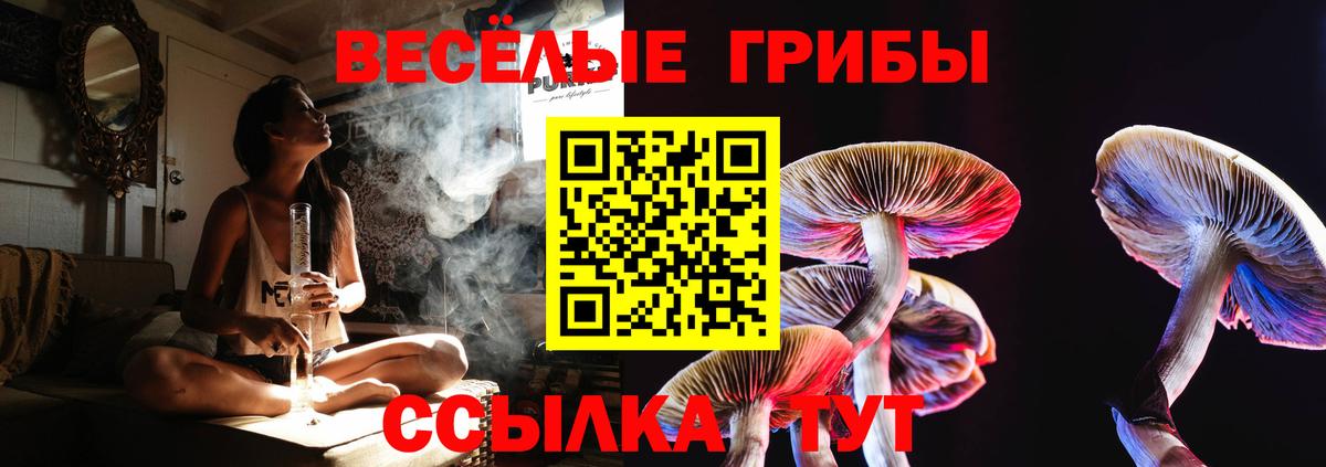 Галлюциногенные грибы GOLDEN TEACHER  Псилоцибиновые грибы Psilocybe  Назарово  Вход с VPN 